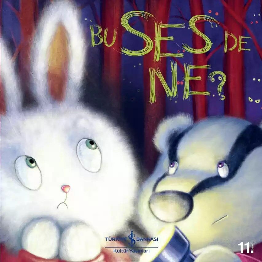 Bu Ses de Ne?