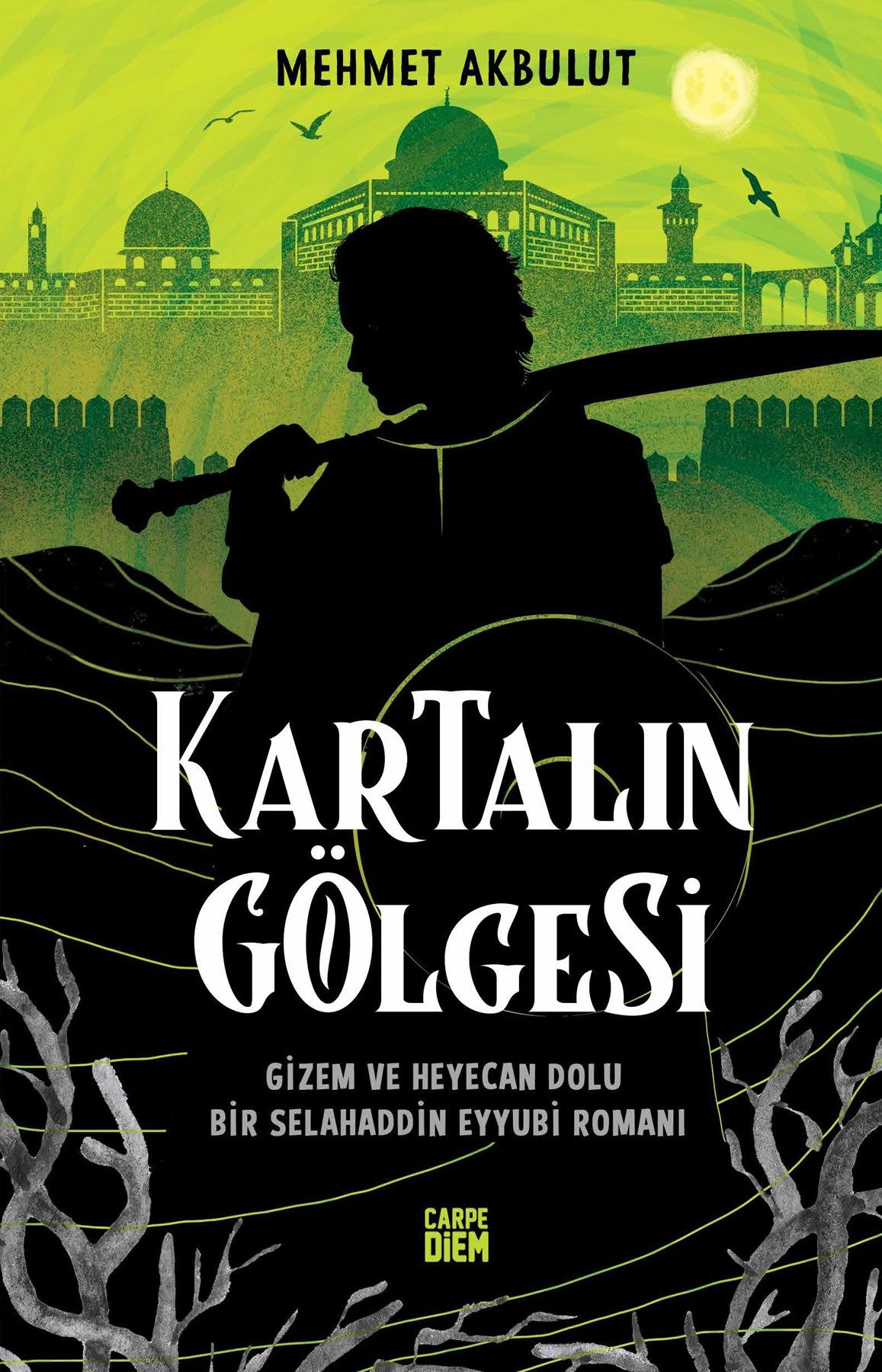 Kartalın Gölgesi - Mehmet Akbulut