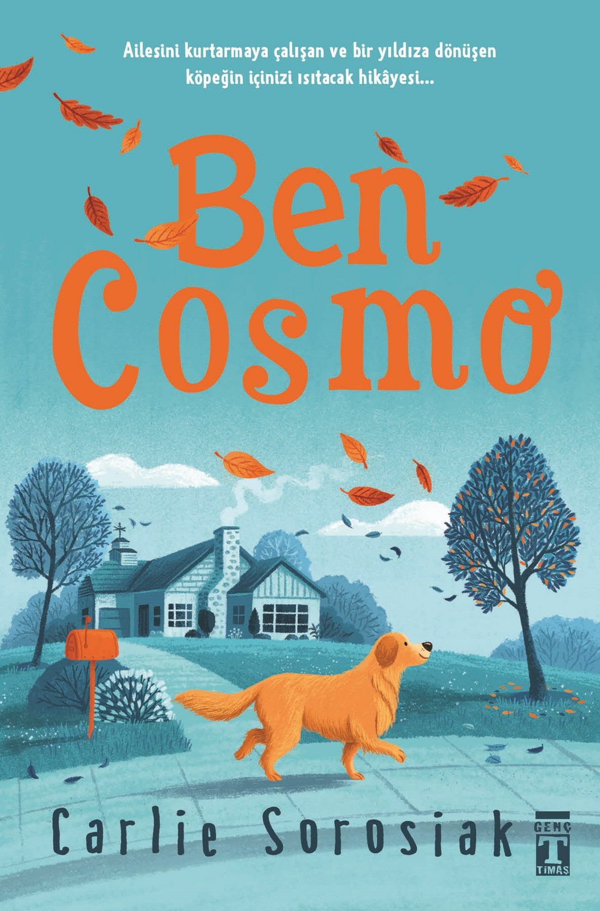 Ben Cosmo (karton kapak)