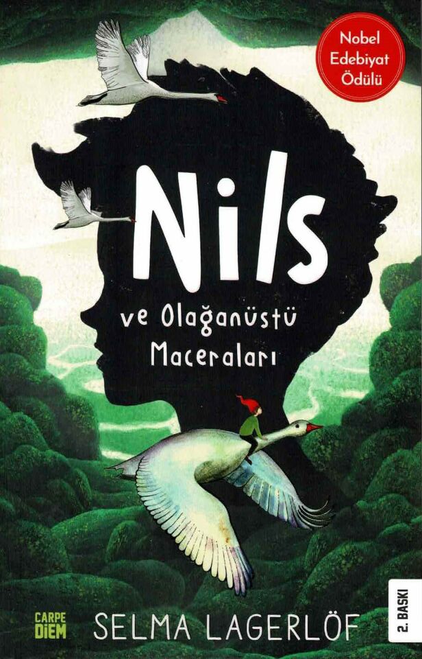 Nils ve Olağanüstü Maceraları