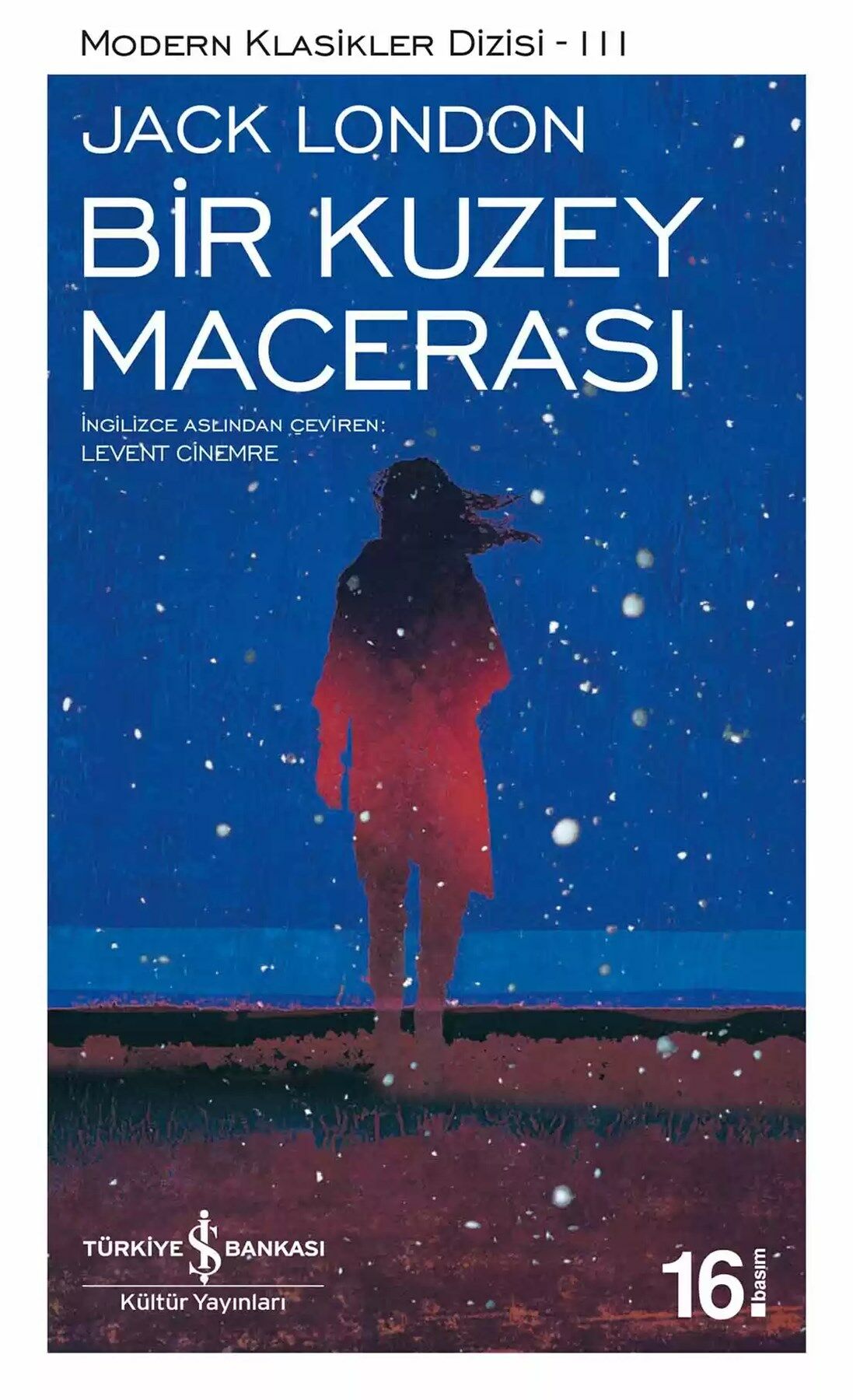 Bir Kuzey Macerası