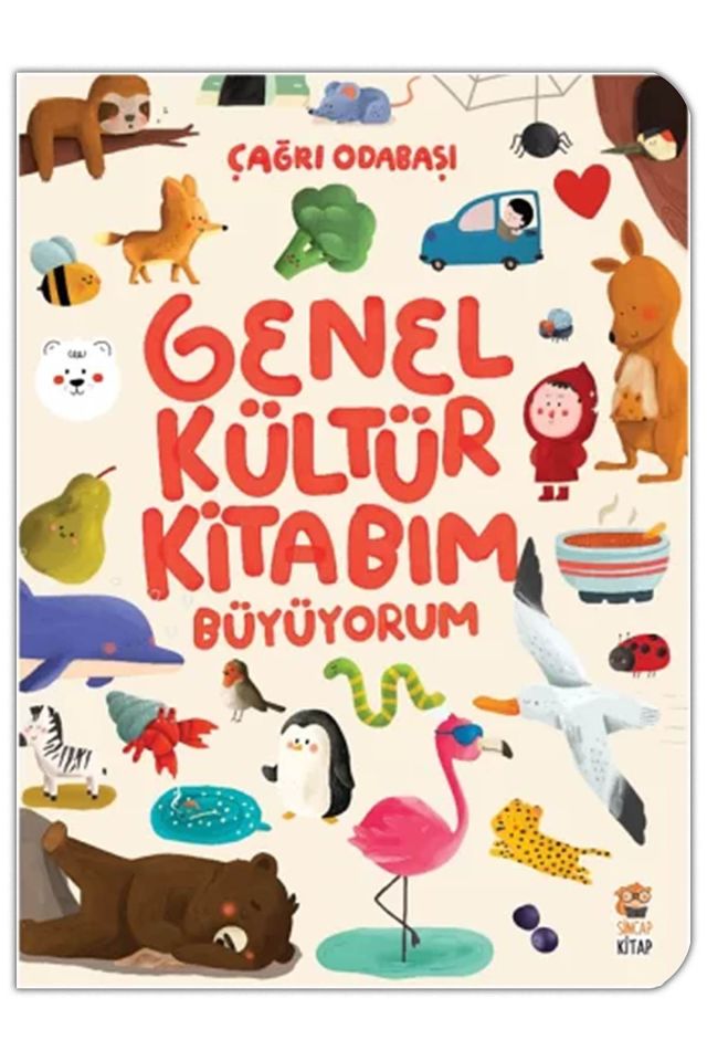 Genel Kültür Kitabım - Büyüyorum (0-12 Ay)