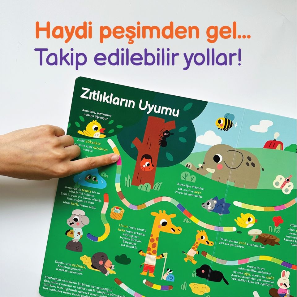 Genel Kültür Kitabım - Tanıyorum