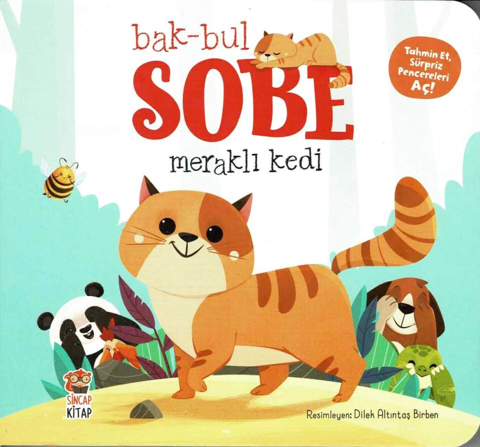 Bak-Bul - Sobe Meraklı Kedi (12-24 Ay)