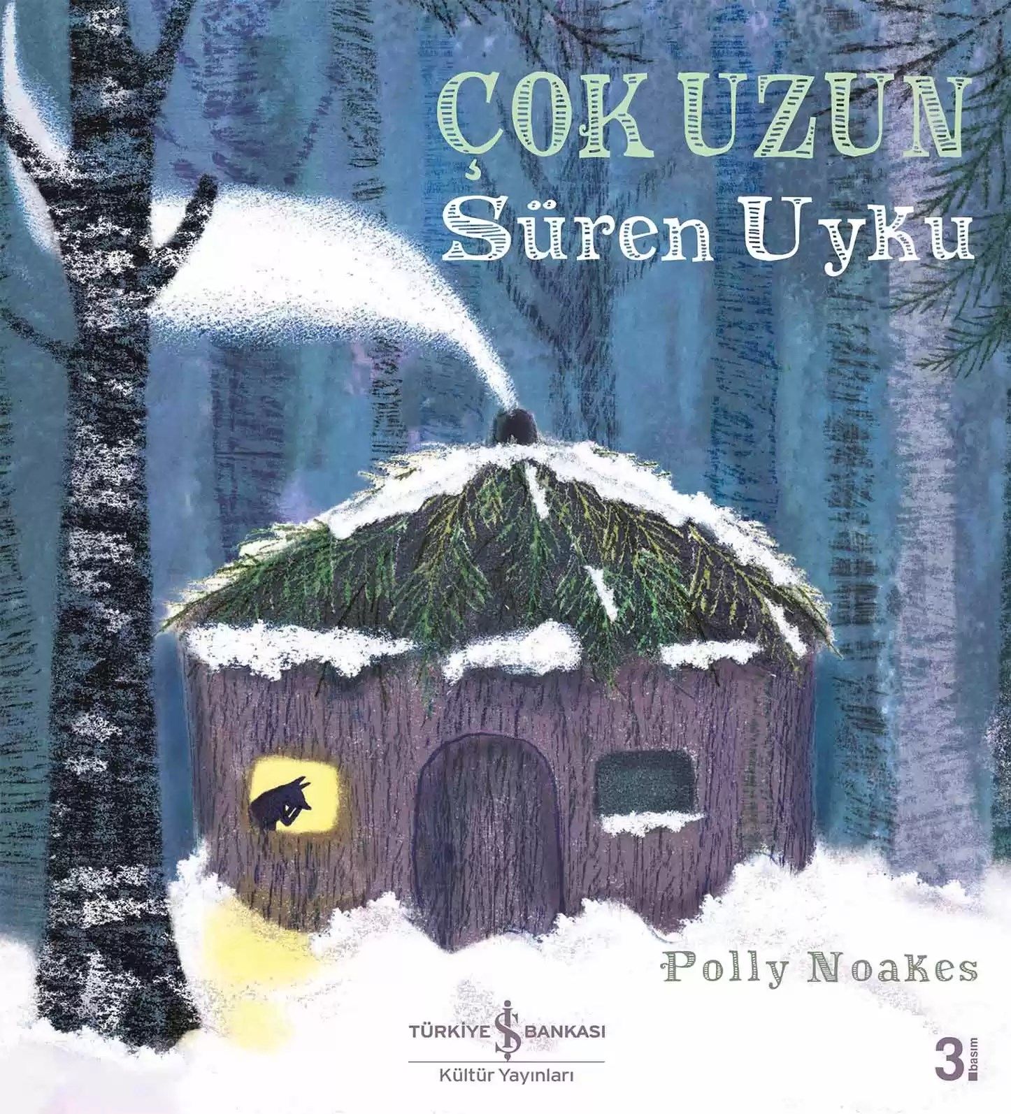 Çok Uzun Süren Uyku
