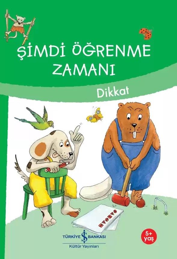 Şimdi Öğrenme Zamanı – Dikkat