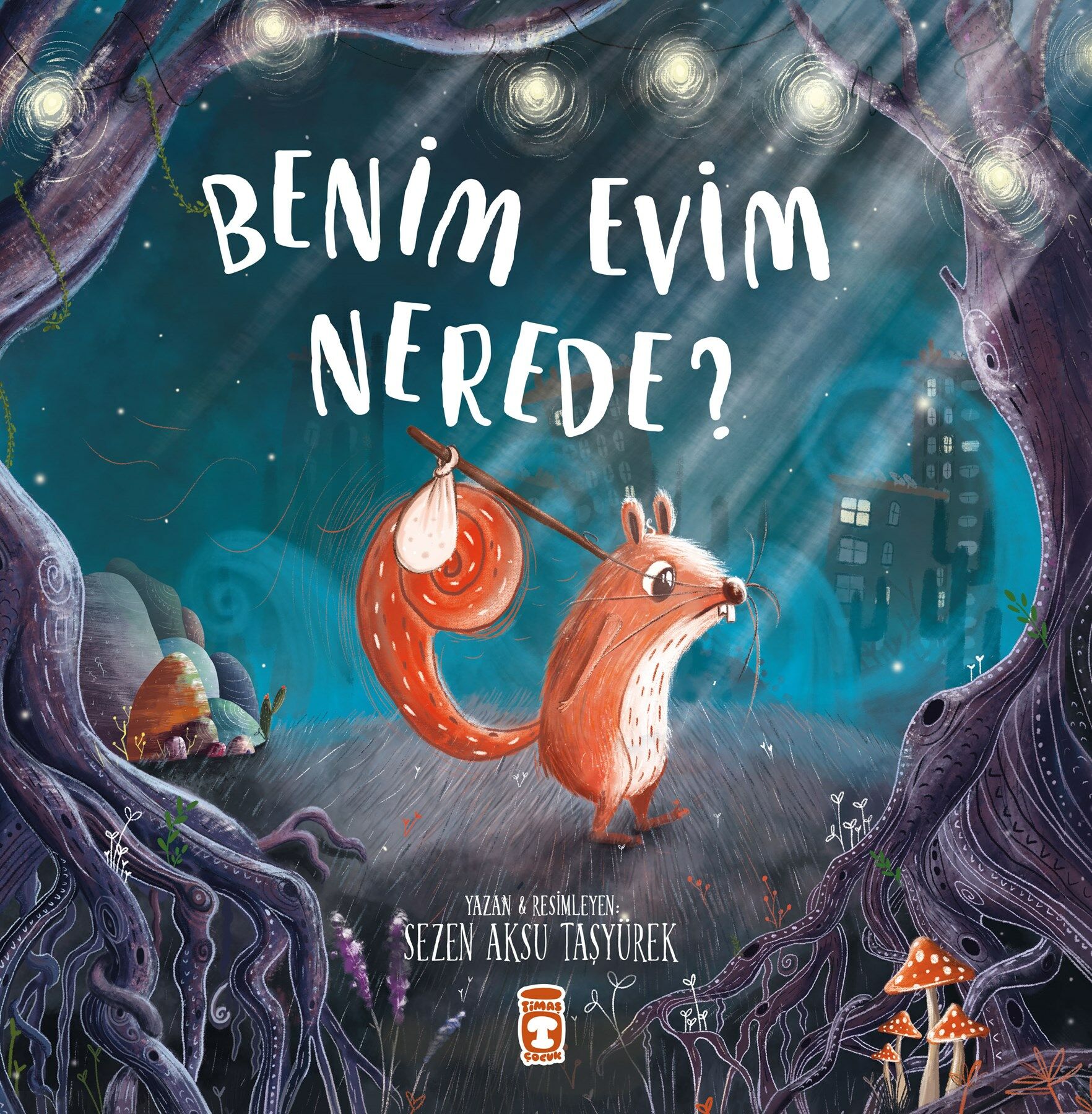 Benim Evim Nerede